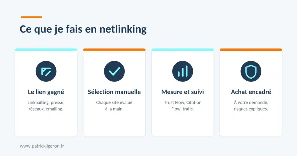 Netlinking maîtrisé, une autorité durable sans risquer la pénalité 1 netlinking prestations