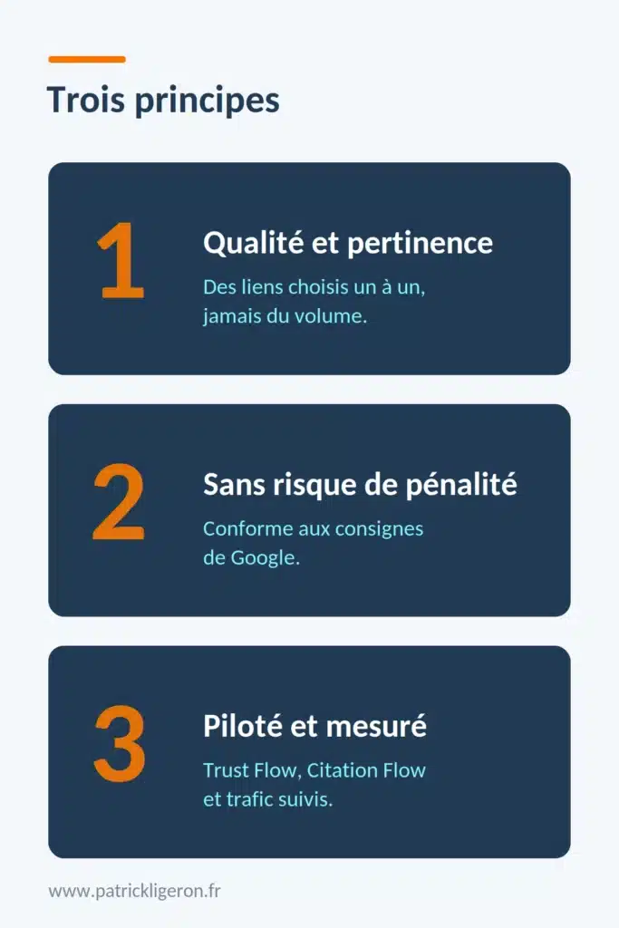 Netlinking maîtrisé, une autorité durable sans risquer la pénalité 2 netlinking vertical